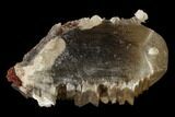 Large Cerussite Crystal - Congo #148459-1